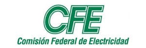 Comisión Federal de Electricidad